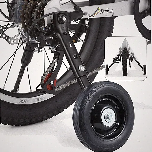 Training Wheel Included City