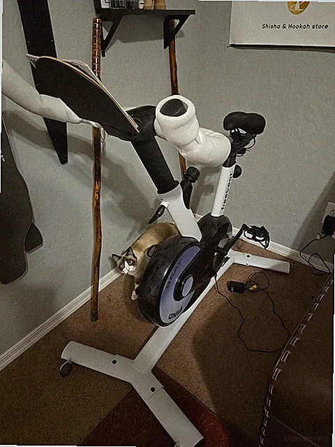 Freebeat Boom Basic Smart Indoor Cycling Bike, Swiss Design Space-Saving Exer...